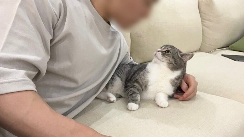 もちまる日記の飼い主の画像