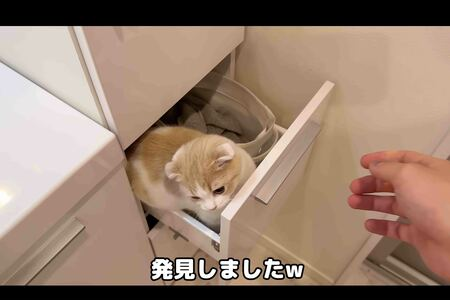 もちまる日記のやらせ疑惑が指摘された動画の画像